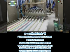 PD1000 MARSHMALLOW EXTRUDING PRODUCTION LINE MARSHMALLOW MAKING MACHINE EQUIPMENT Mesin-mesin yang digunakan untuk pembuatan mesin