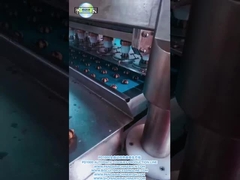 PD1000 LINE Produksi KEKOLOR DOUBLE sepenuhnya otomatis