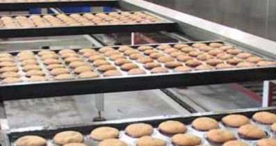 Cup Cake Production Line Muffin Making Processing Machines Cup Cake Forming Machine Cake Cookies Making Machine